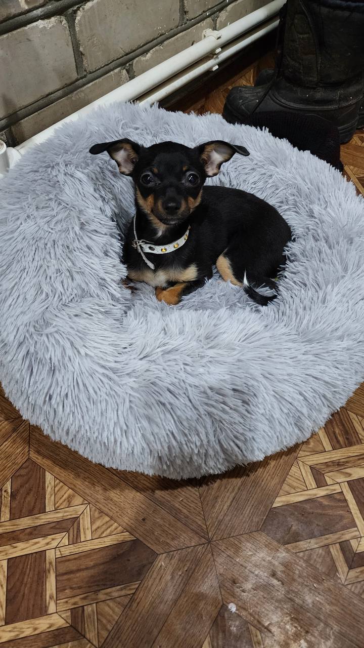 Доброе утро, Кубань!. Краснодар +17 °С