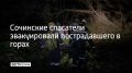 Инцидент произошел в лесу неподалеку от поселка Головинка в Лазаревском районе