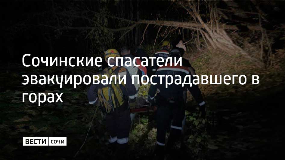 Инцидент произошел в лесу неподалеку от поселка Головинка в Лазаревском районе