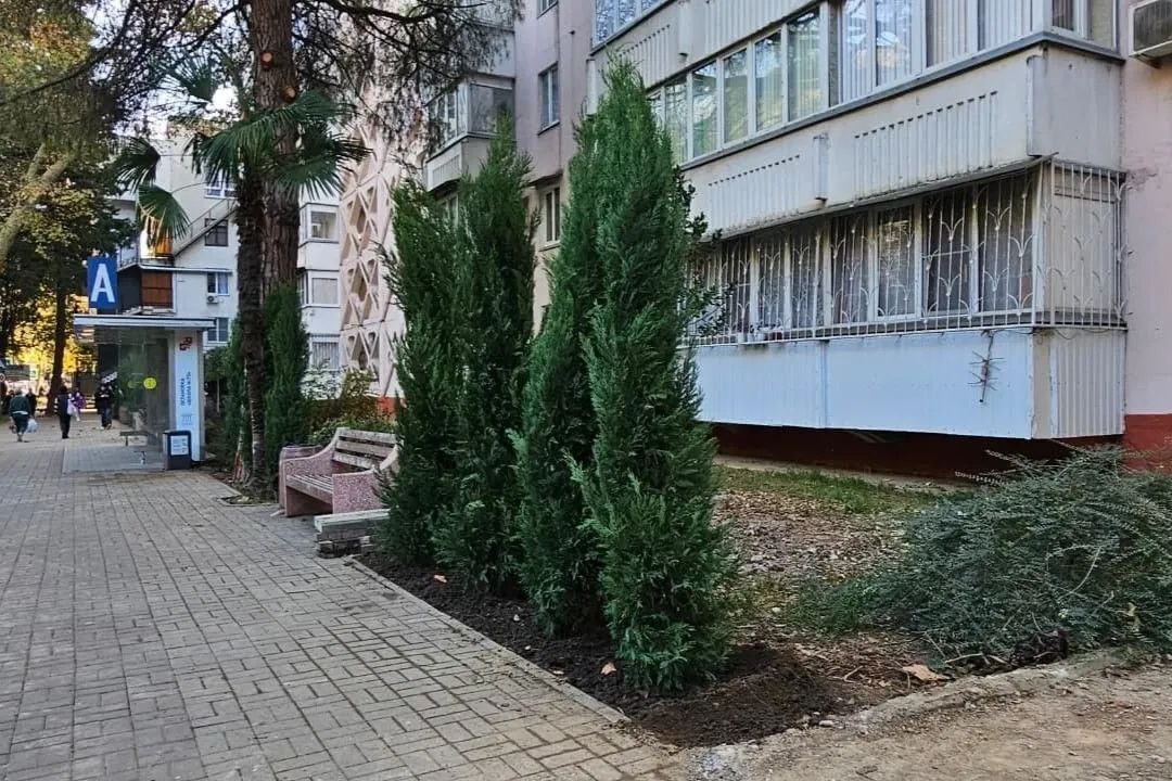 В Сочи продолжаются работы по благоустройству общественных пространств В Сочи продолжаются работы по благоустройству общественных пространств