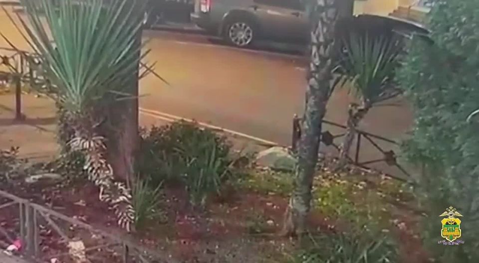 Приезжих гастролеров задержали в Адлере за серию краж