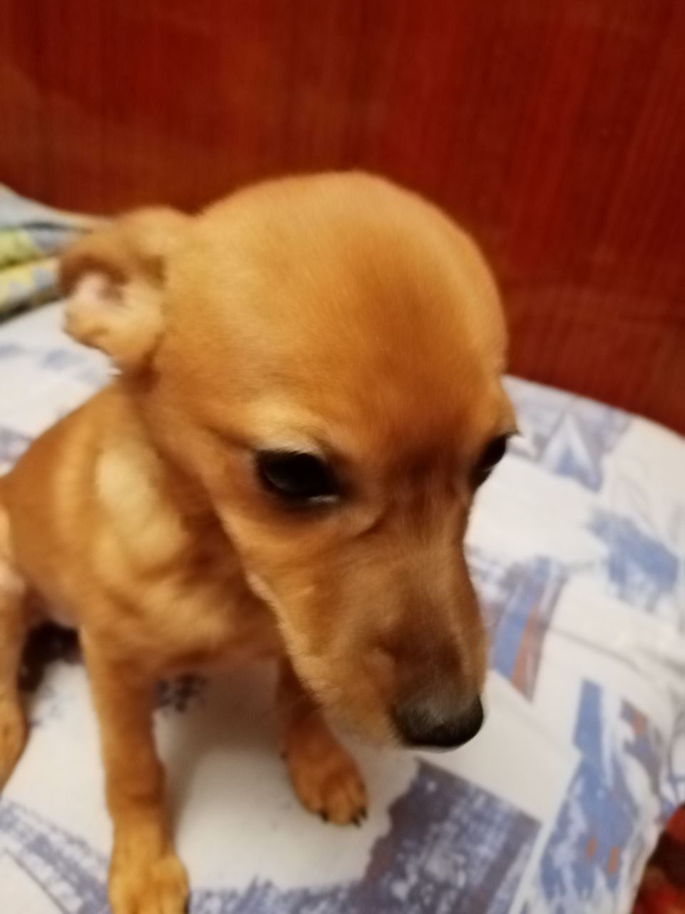 Доброе утро, Кубань!. Краснодар +16 °С Доброе утро, Кубань!. Краснодар +16 °С