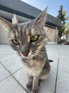 Доброе утро, Кубань!. Краснодар +16 °С