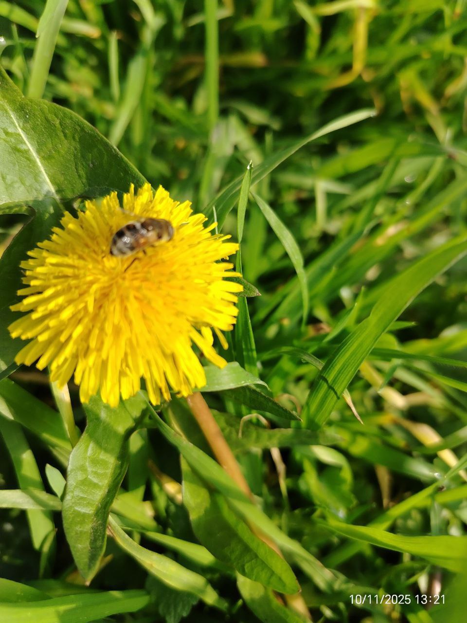 О погоде на 12 ноября. В Краснодарском крае переменная облачность О погоде на 12 ноября. В Краснодарском крае переменная облачность