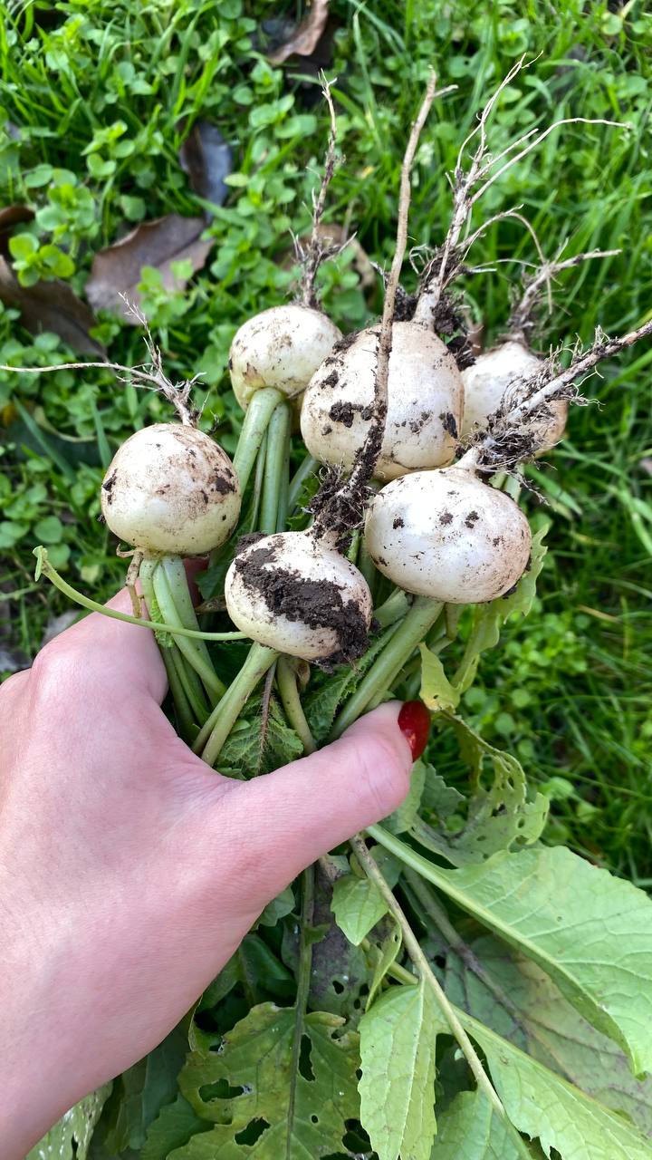 О погоде на 12 ноября. В Краснодарском крае переменная облачность О погоде на 12 ноября. В Краснодарском крае переменная облачность