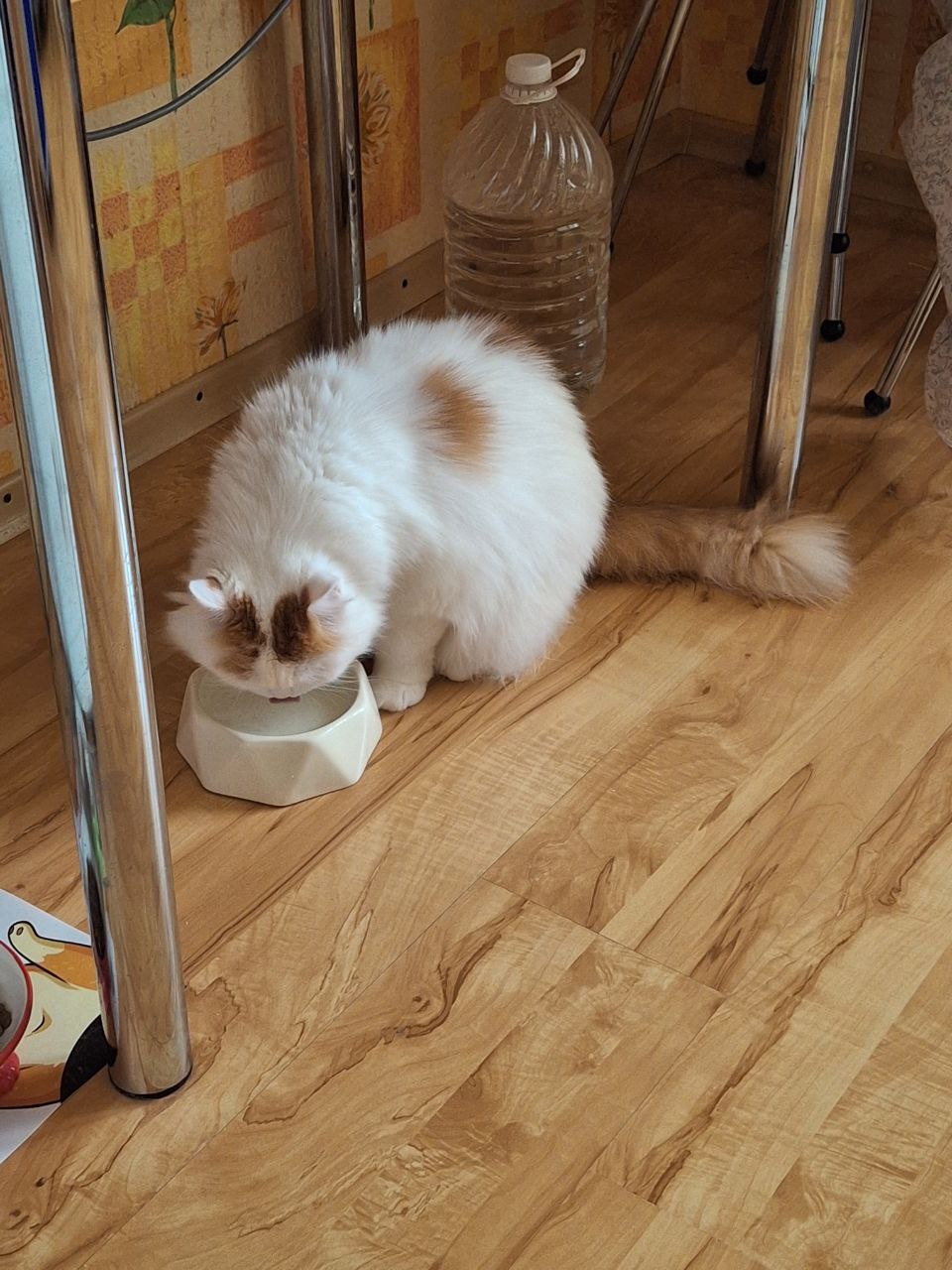 Доброе утро, Кубань!. Краснодар +16 °С Доброе утро, Кубань!. Краснодар +16 °С