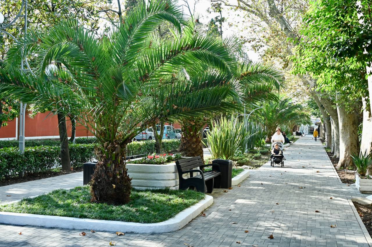 Андрей Прошунин: Посетил новую, современную зону отдыха на улице Ромашек в Адлерском районе города Андрей Прошунин: Посетил новую, современную зону отдыха на улице Ромашек в Адлерском районе города