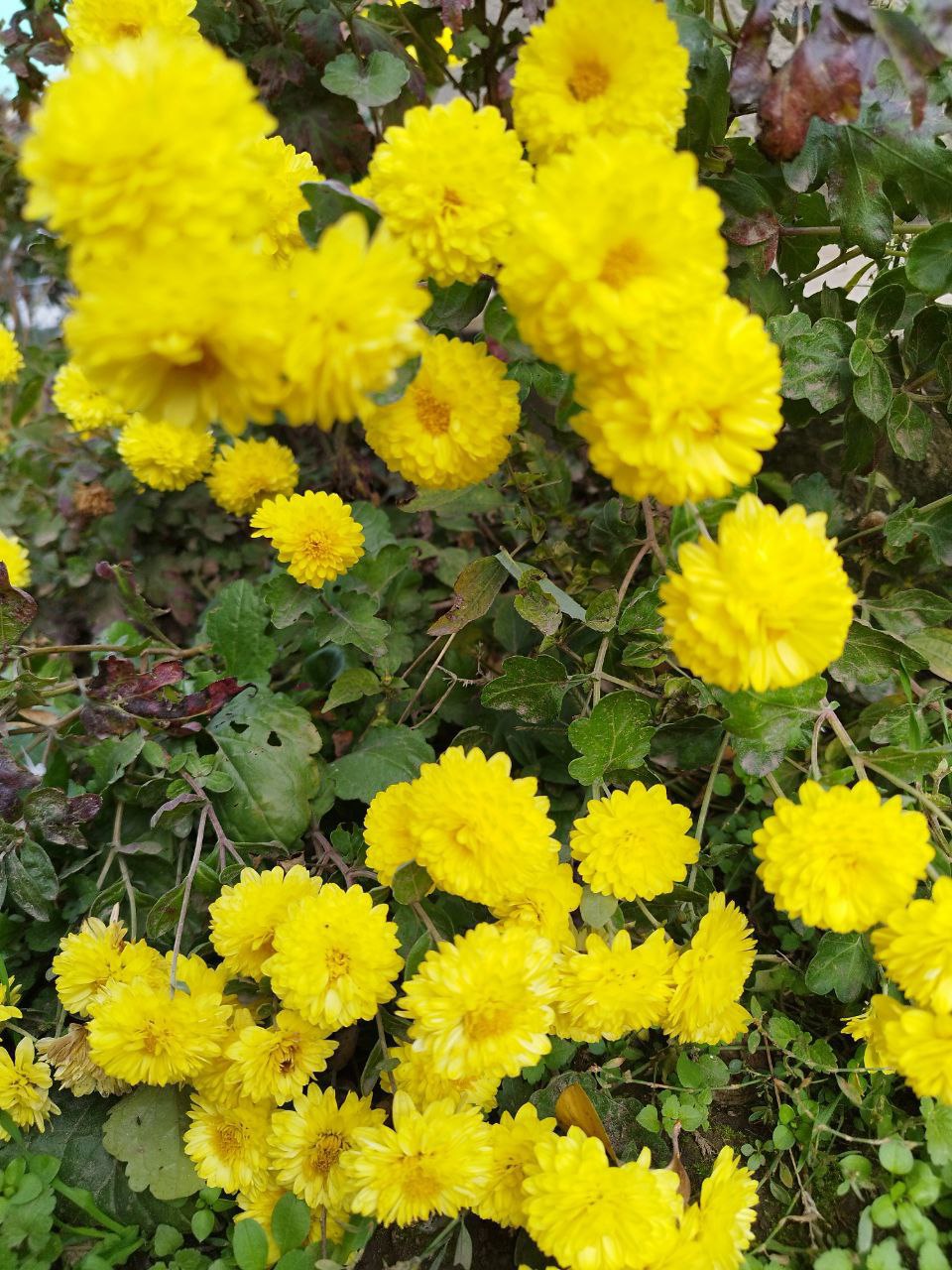 О погоде на 12 ноября. В Краснодарском крае переменная облачность О погоде на 12 ноября. В Краснодарском крае переменная облачность