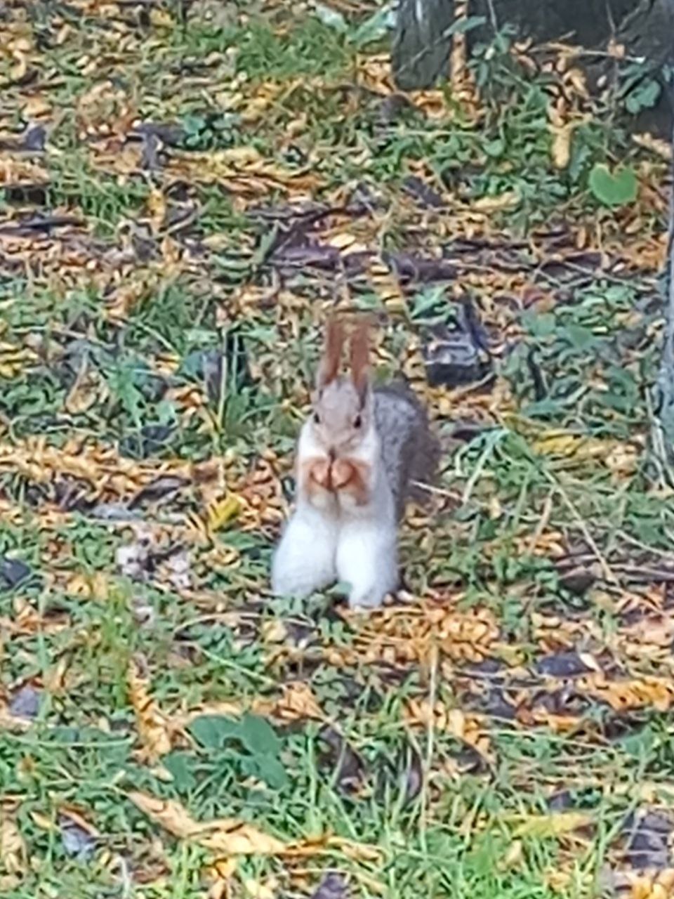 О погоде на 12 ноября. В Краснодарском крае переменная облачность О погоде на 12 ноября. В Краснодарском крае переменная облачность