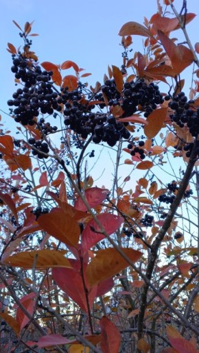 Эмоциональная пропасть: как тихий развод разъединяет людей в одной квартире