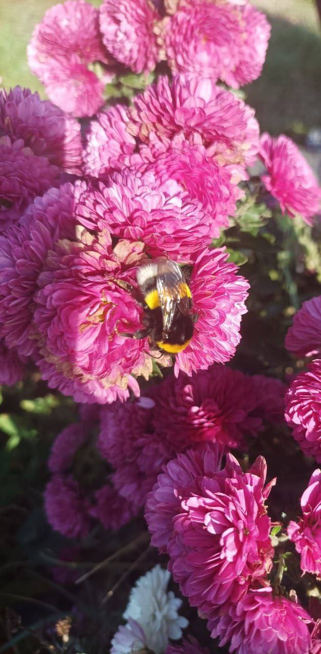 О погоде на 13 ноября. В Краснодарском крае облачность с прояснениями О погоде на 13 ноября. В Краснодарском крае облачность с прояснениями