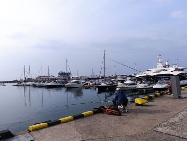 Доброе утро, дорогие сочинцы!