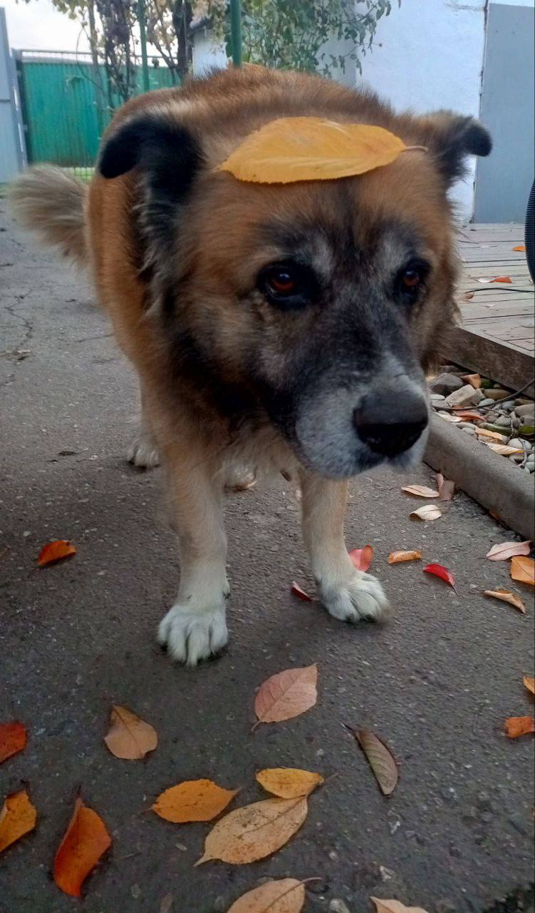 О погоде на 13 ноября. В Краснодарском крае облачность с прояснениями О погоде на 13 ноября. В Краснодарском крае облачность с прояснениями