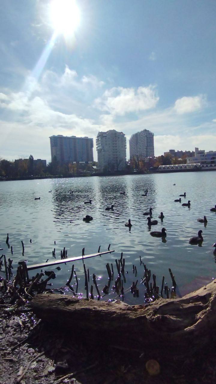 О погоде на 13 ноября. В Краснодарском крае облачность с прояснениями О погоде на 13 ноября. В Краснодарском крае облачность с прояснениями