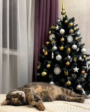 Друзья, тут внезапно вспомнили, что… до Нового года-то осталось совсем немного