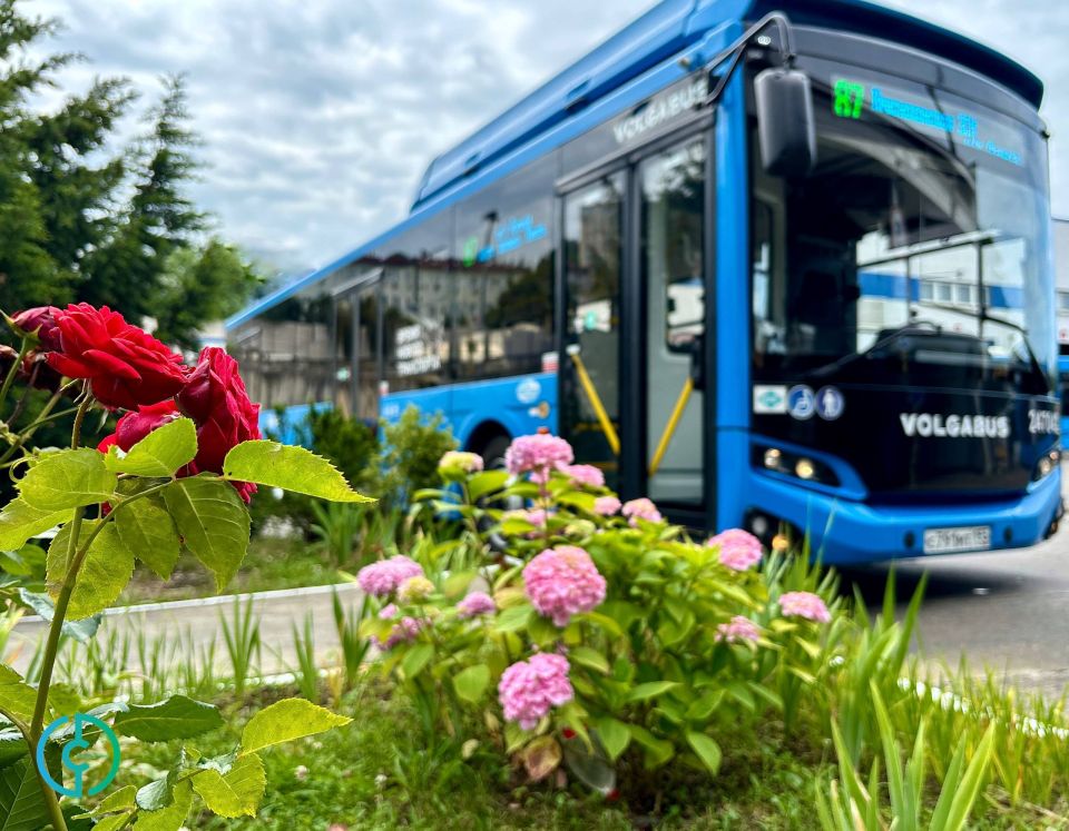Доброе утро!. Едем в пятницу, следующая остановка - выходные! Департамент транспорта и дорожного хозяйства Сочи
