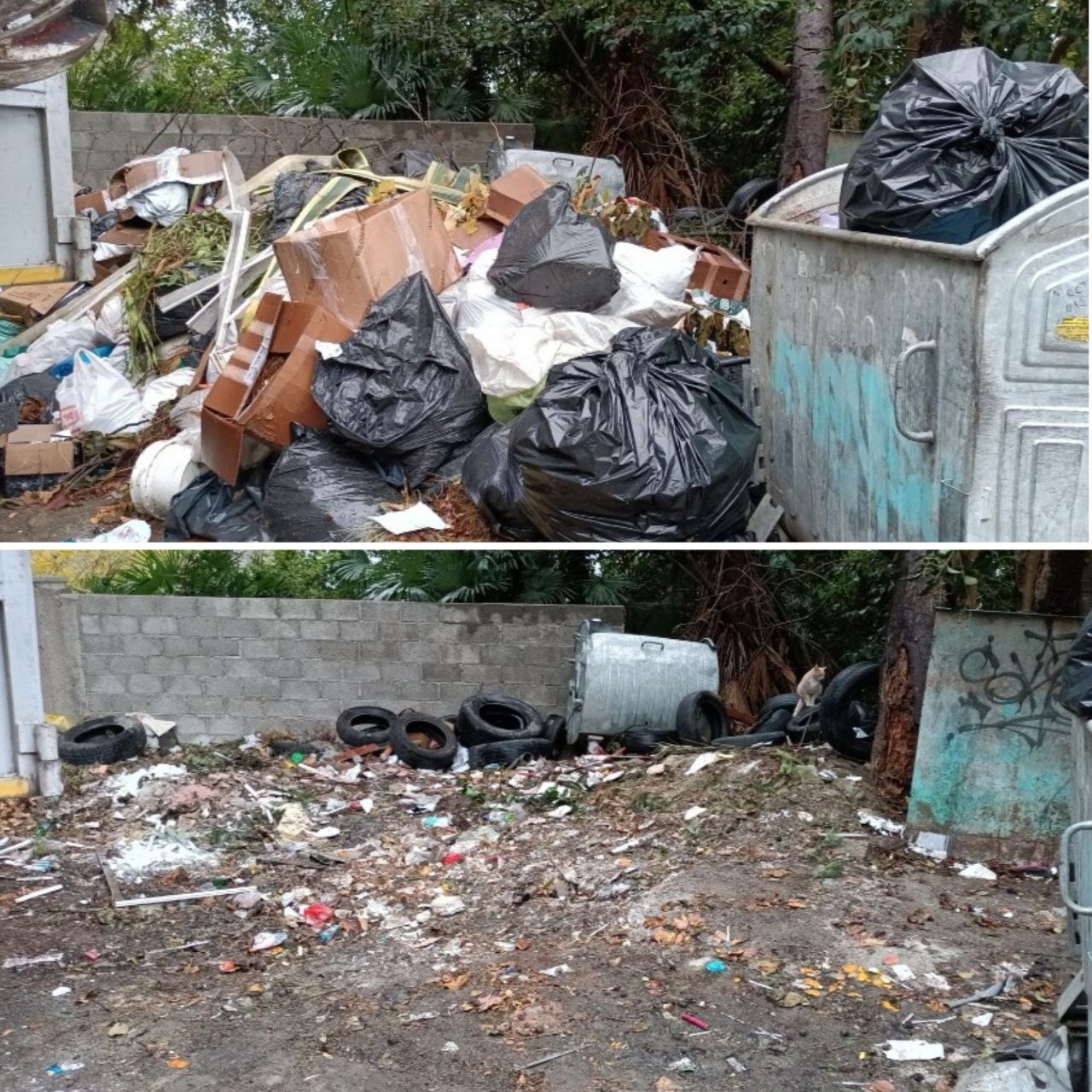 В Сочи продолжается работа по вывозу мусора, в том числе крупногабаритных отходов с контейнерных площадок В Сочи продолжается работа по вывозу мусора, в том числе крупногабаритных отходов с контейнерных площадок