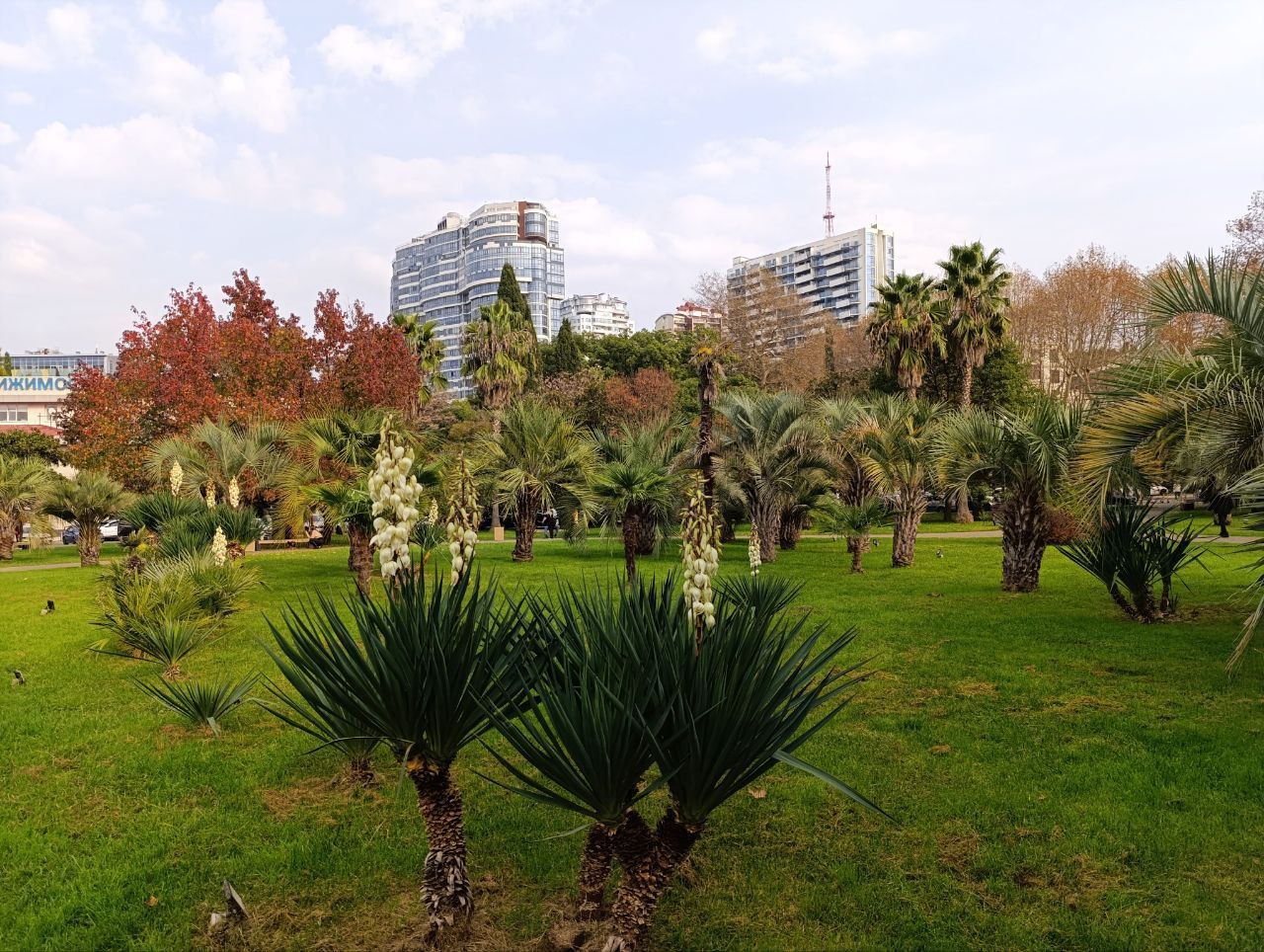 Доброе утро, любимый город!