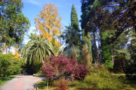 Доброе утро, дорогие сочинцы и гости курорта!