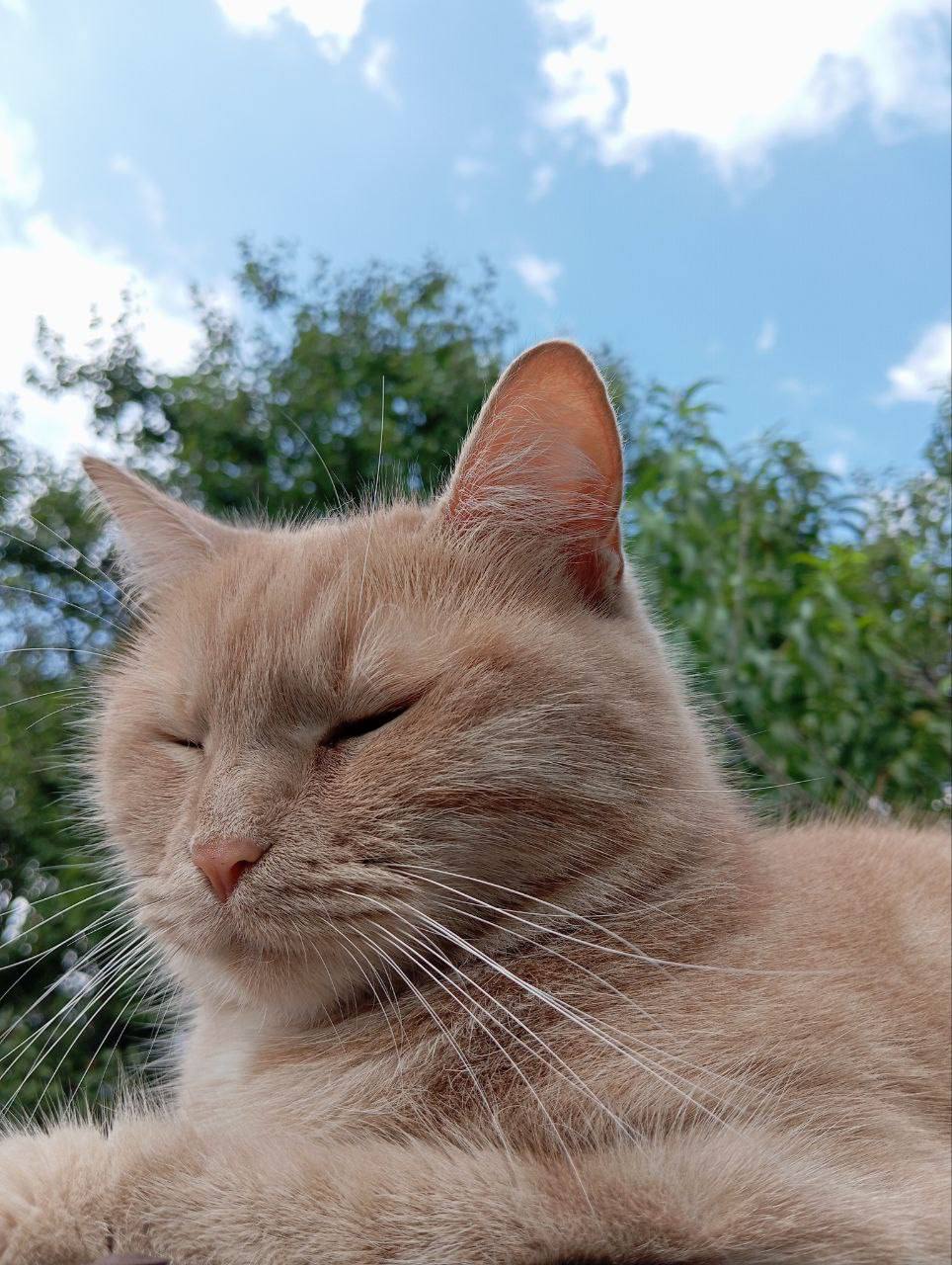 О погоде на 15 ноября. В Краснодарском крае облачно с прояснениями