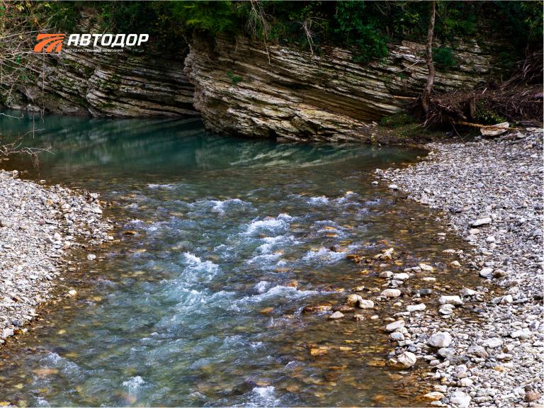 Тисо-самшитовая роща Кавказского биосферного заповедника – одна из визитных карточек туристического Сочи, известная еще с 1931 года Тисо-самшитовая роща Кавказского биосферного заповедника – одна из визитных карточек туристического Сочи, известная еще с 1931 года