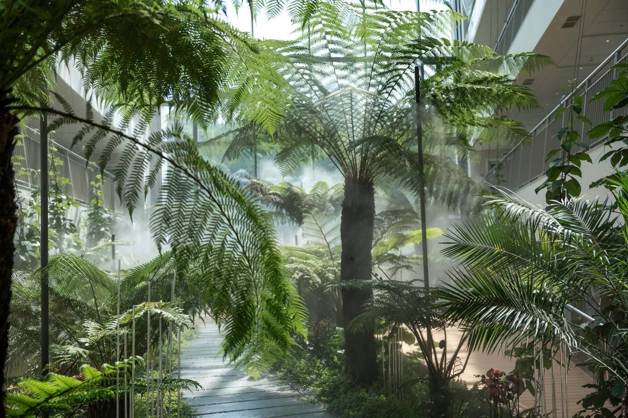 В Сочи открылся первый за четверть века новый санаторий «Кристалл» В Сочи открылся первый за четверть века новый санаторий «Кристалл»