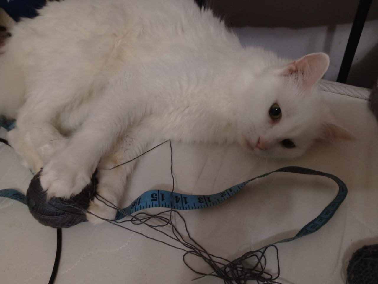 Доброе утро, Краснодарский край! Погода 15 ноября будет такой: Доброе утро, Краснодарский край! Погода 15 ноября будет такой: