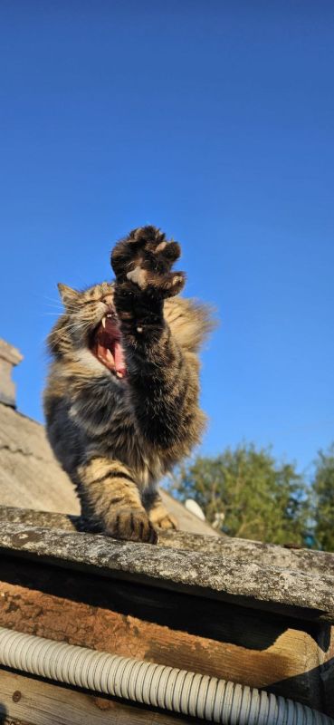 Доброе утро, Краснодарский край! Погода 15 ноября будет такой: