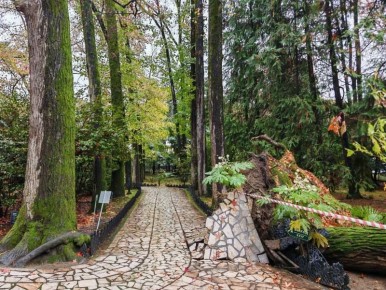 Рухнувшее вековое дерево едва не разрушило знаменитую сочинскую скульптуру