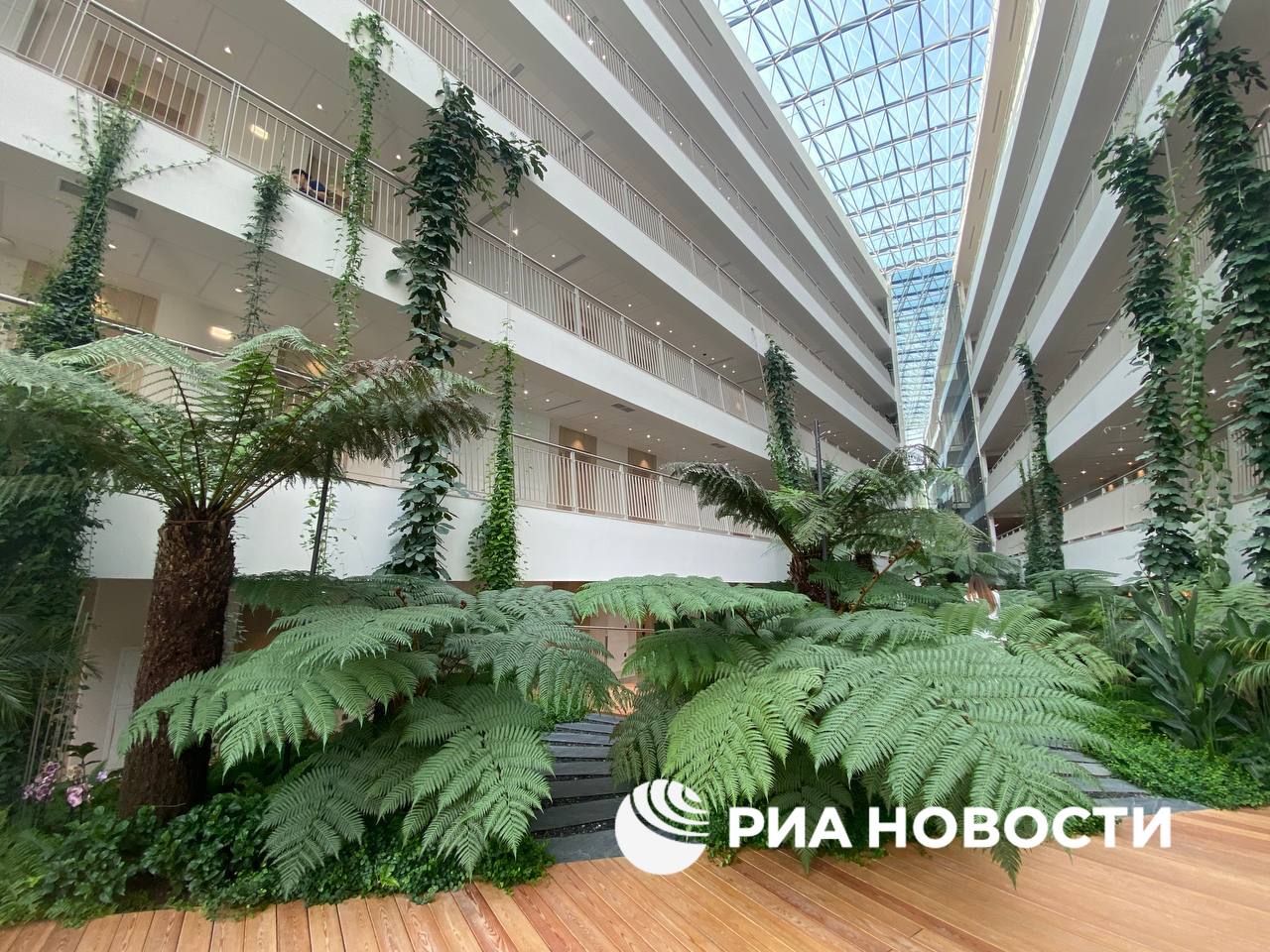 Первый построенный с ноля за последние 25 лет санаторий в Сочи открылся в Хостинском районе Первый построенный с ноля за последние 25 лет санаторий в Сочи открылся в Хостинском районе