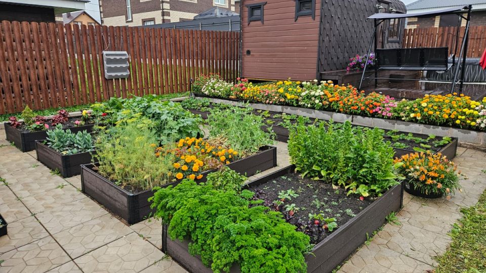 Почему отказ от сидератов может быть разумным решением для вашего участка