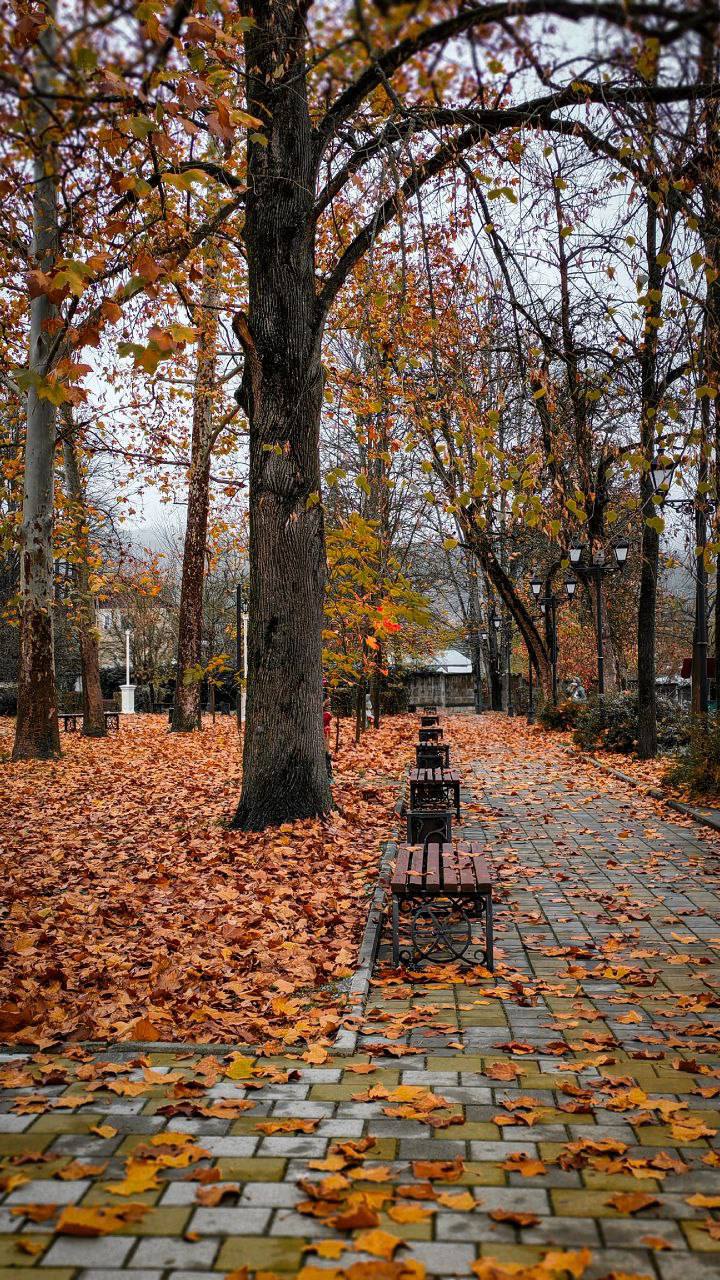 О погоде на 15 ноября. В Краснодарском крае облачно с прояснениями О погоде на 15 ноября. В Краснодарском крае облачно с прояснениями