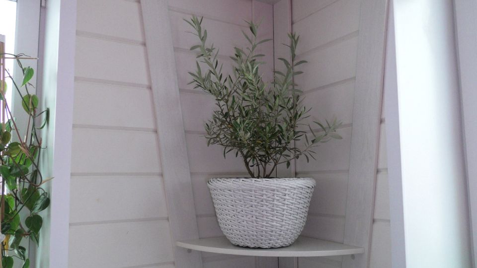 Креативное кашпо из ротанга: как превратить простое ведро в стильное украшение для дома