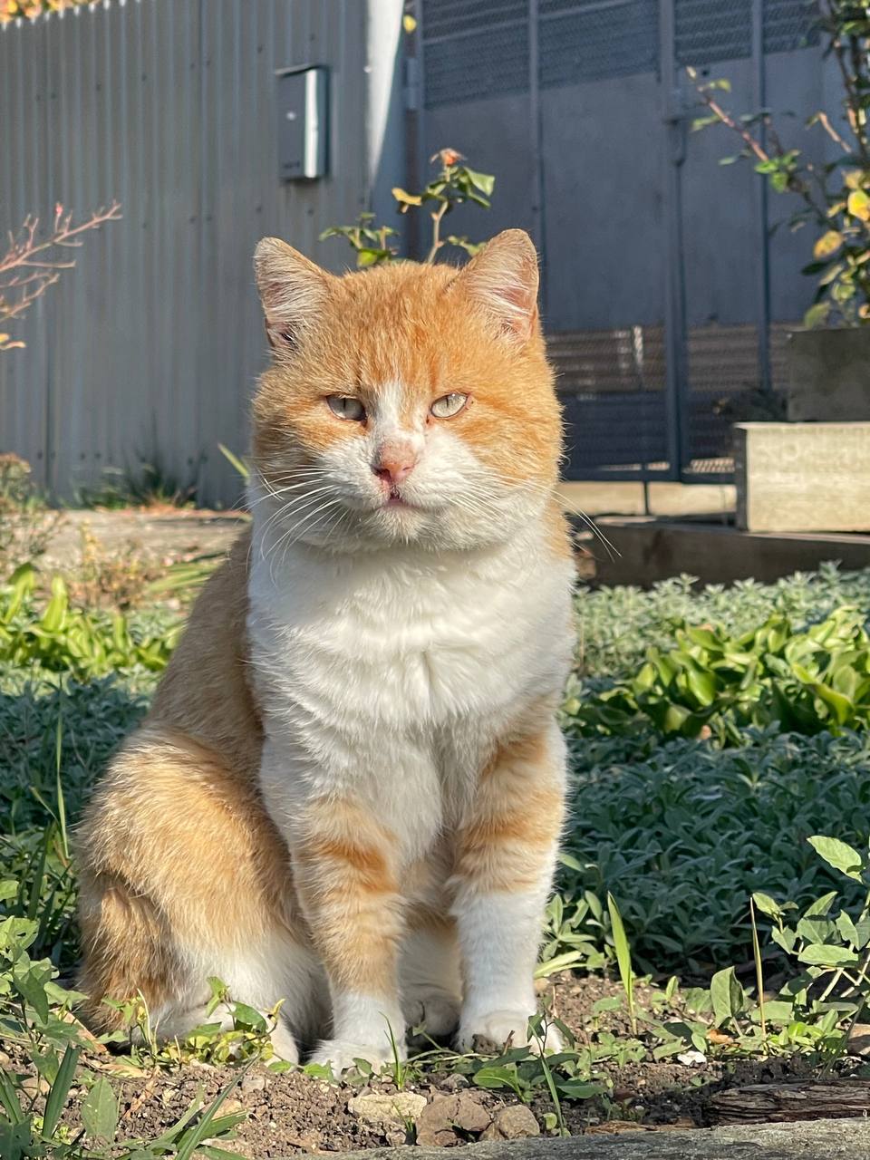 О погоде на 15 ноября. В Краснодарском крае облачно с прояснениями О погоде на 15 ноября. В Краснодарском крае облачно с прояснениями