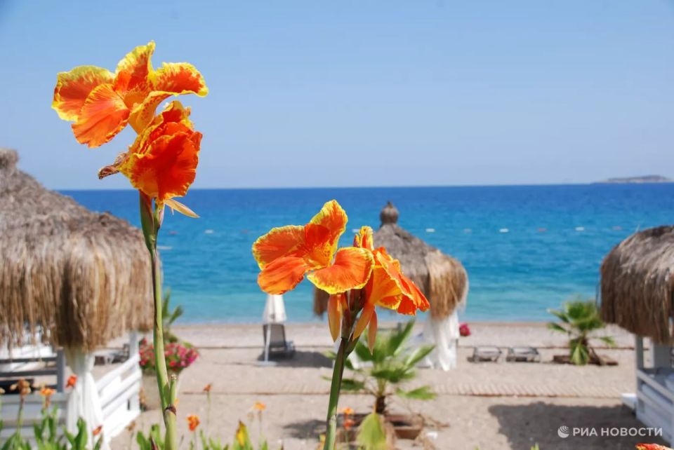 Более 60% россиян не против перезимовать в теплых краях, выяснили аналитики группы "Мантера" (данные исследования есть у РИА Новости)