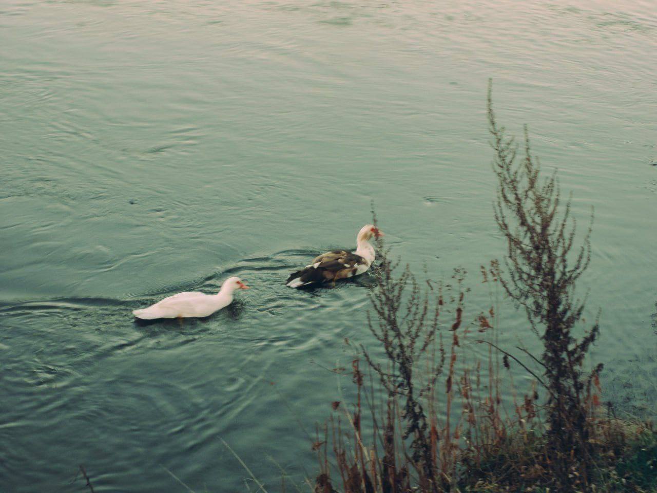 О погоде на 16 ноября. В Краснодарском крае переменная облачность О погоде на 16 ноября. В Краснодарском крае переменная облачность