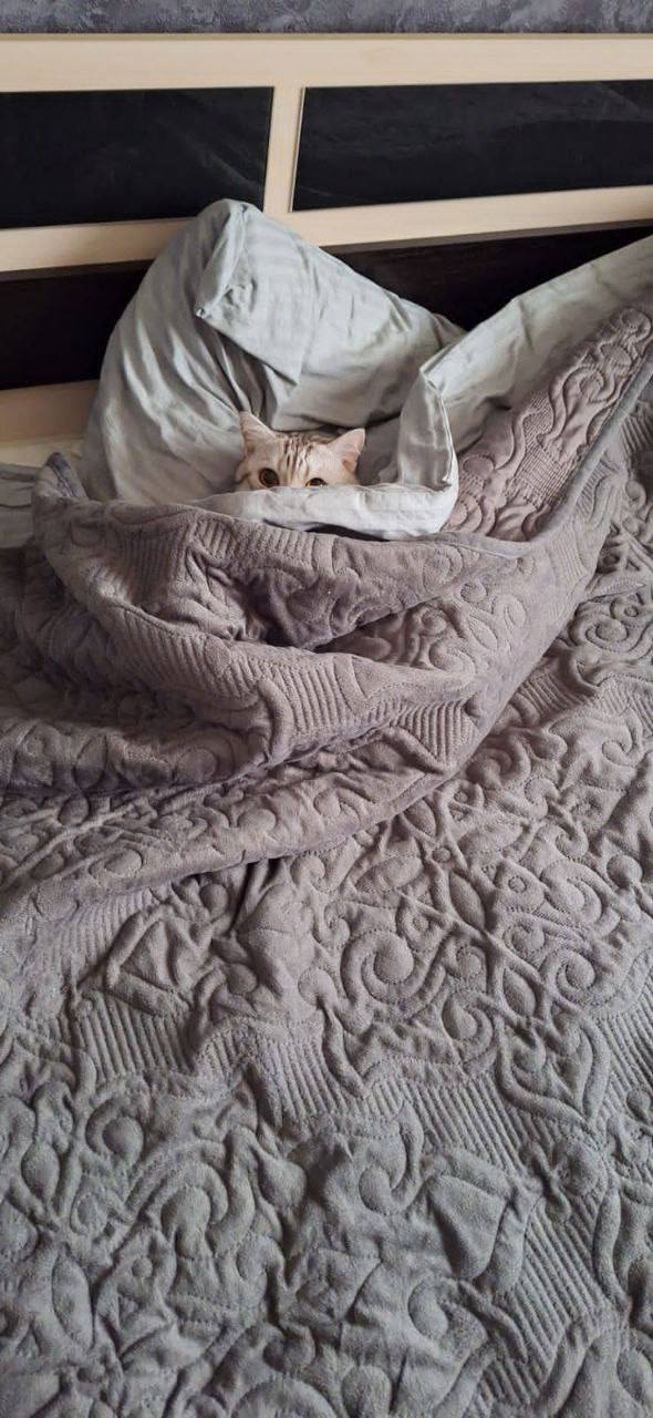 О погоде на 16 ноября. В Краснодарском крае переменная облачность О погоде на 16 ноября. В Краснодарском крае переменная облачность