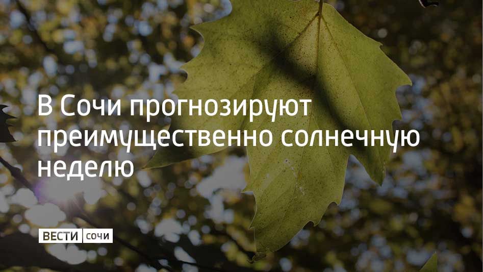 По данным Гидрометцентра России, на курорте с 17 по 22 ноября будет около +20 градусов