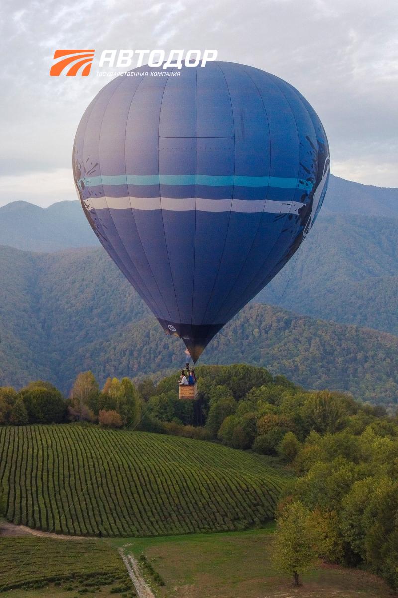 Вы знали, что самый северный чай в мире растет в Сочи? Вы знали, что самый северный чай в мире растет в Сочи?