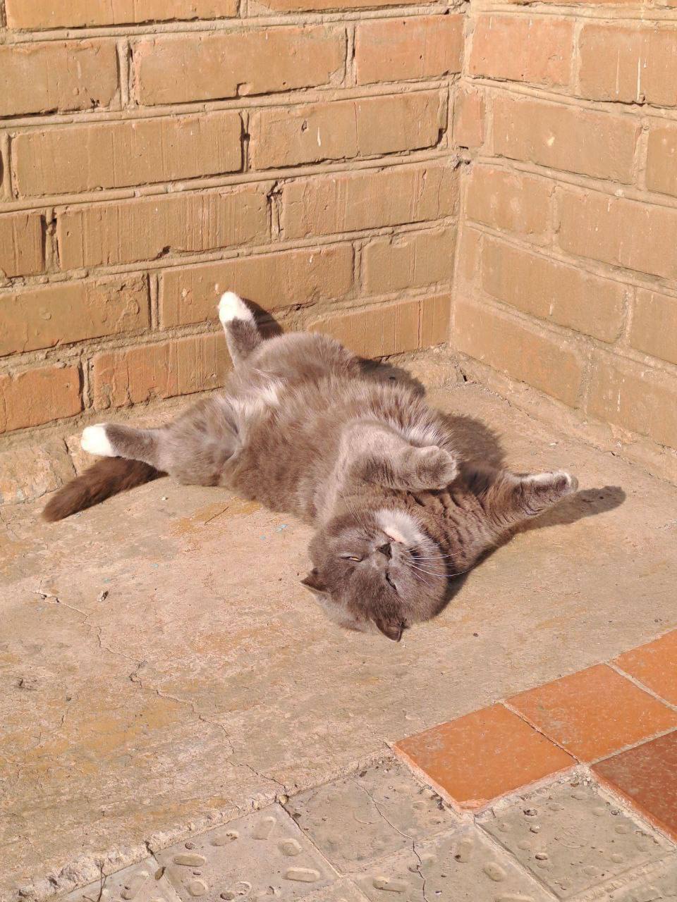 О погоде на 16 ноября. В Краснодарском крае переменная облачность О погоде на 16 ноября. В Краснодарском крае переменная облачность