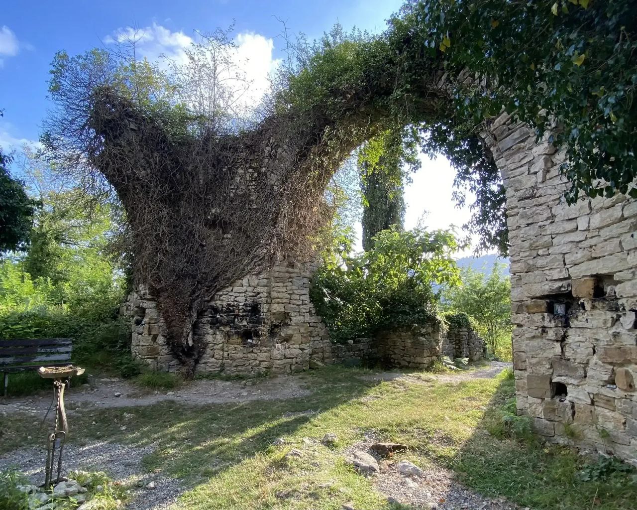 В Сочи разработали новый маршрут для познавательного туризма