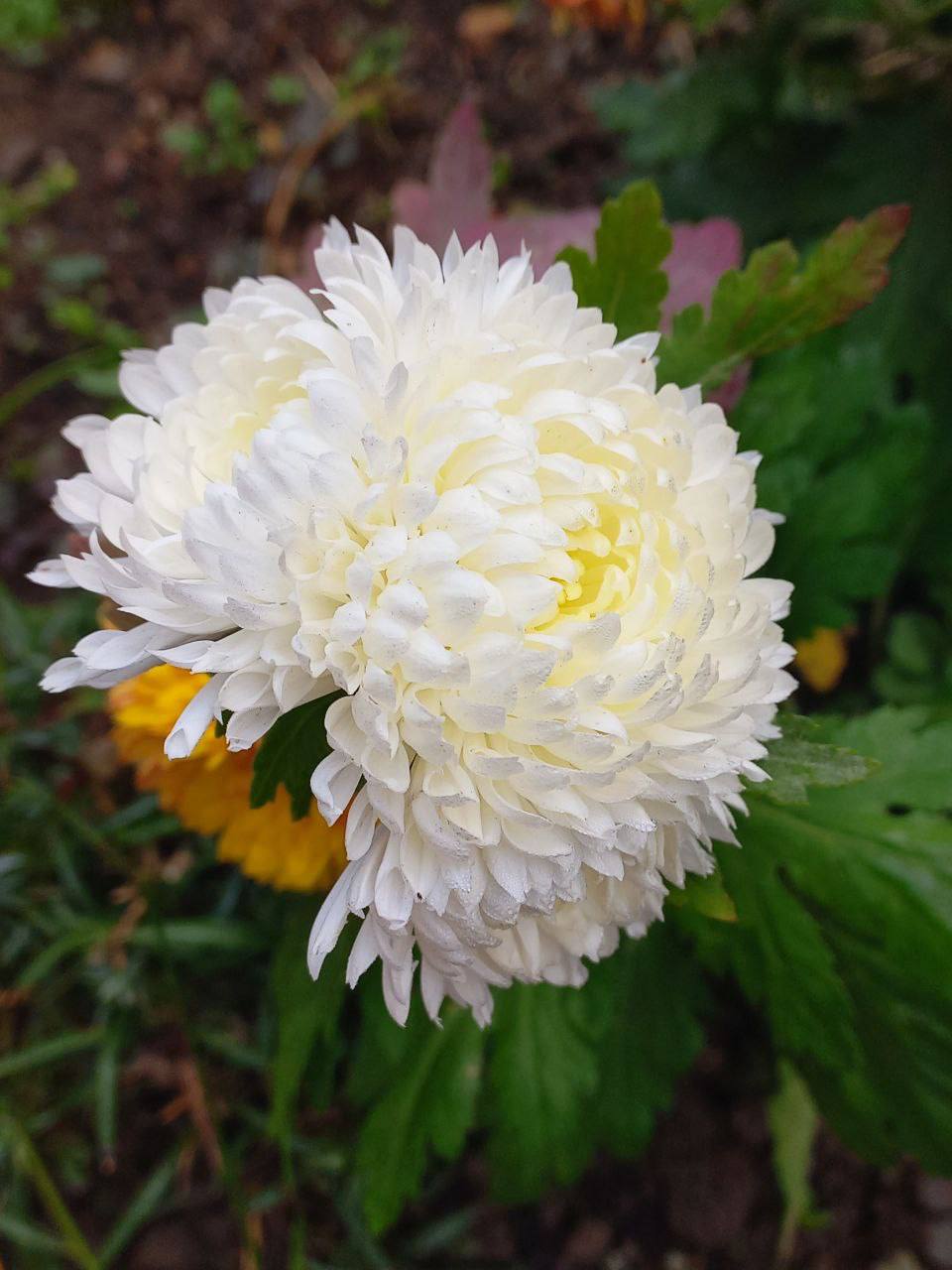 О погоде на 17 ноября. В Краснодарском крае переменная облачность О погоде на 17 ноября. В Краснодарском крае переменная облачность