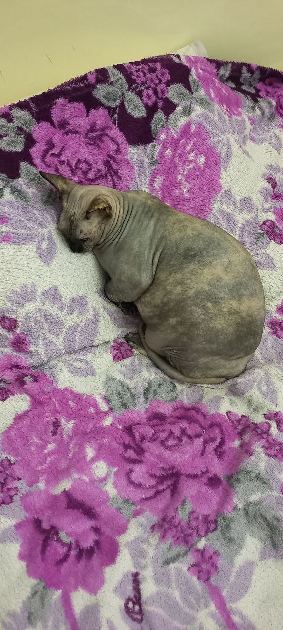 Доброе утро, Кубань!. Краснодар +18 °С