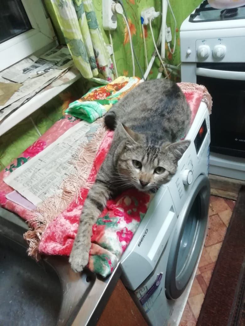 Доброе утро, Кубань!. Краснодар +18 °С Доброе утро, Кубань!. Краснодар +18 °С