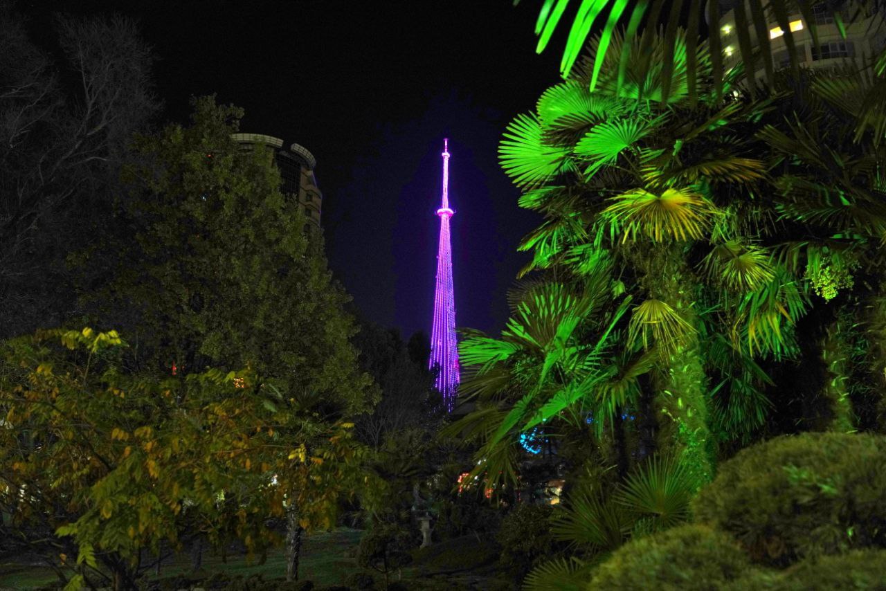 Сегодня, в День недоношенного ребенка, в Сочи включили архитектурную ночную подсветку знаковых объектов Сегодня, в День недоношенного ребенка, в Сочи включили архитектурную ночную подсветку знаковых объектов