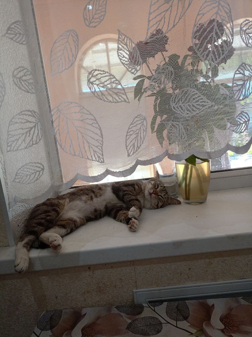 Доброе утро, Кубань!. Краснодар +18 °С Доброе утро, Кубань!. Краснодар +18 °С