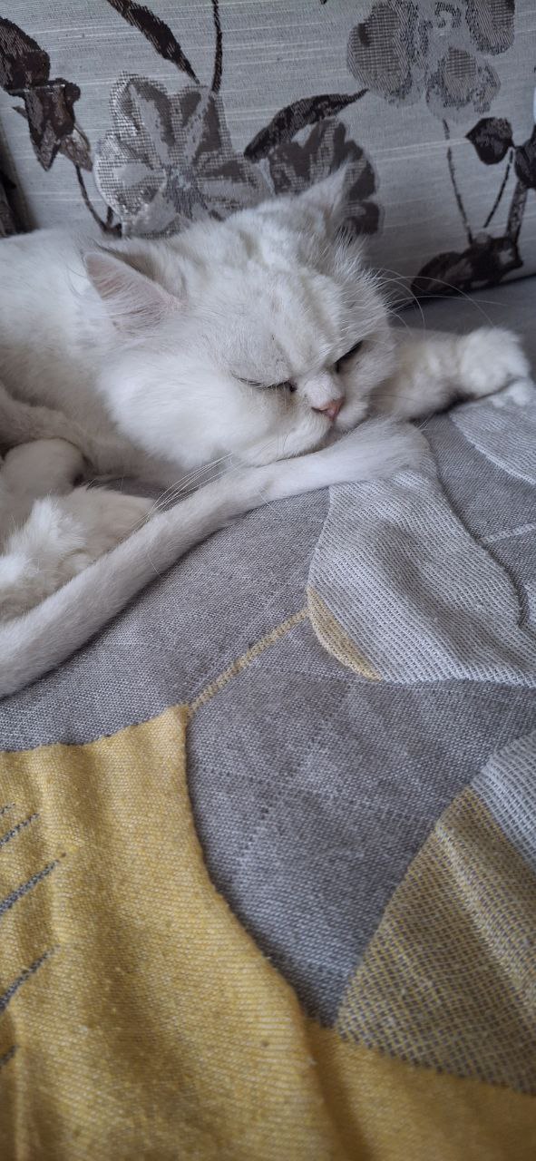 Доброе утро, Кубань!. Краснодар +18 °С Доброе утро, Кубань!. Краснодар +18 °С