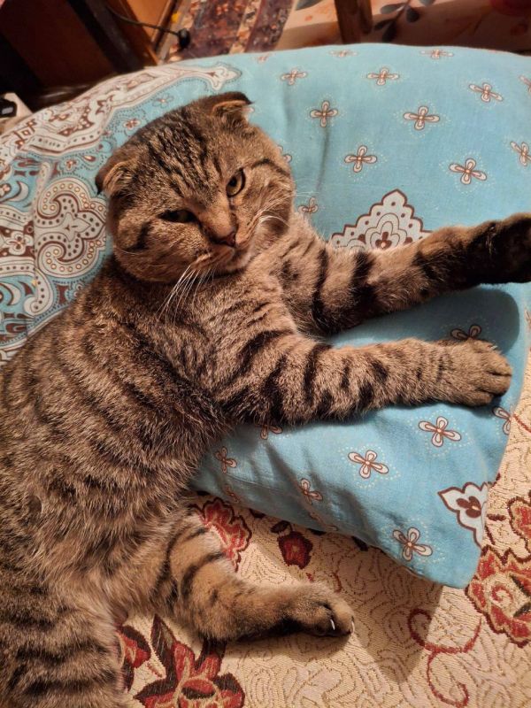 О погоде на 19 ноября. В Краснодарском крае переменная облачность, без осадков