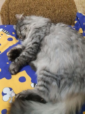 Доброе утро, Кубань!. Краснодар +21 °С