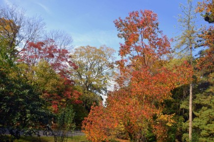 Доброе осеннее утро, дорогие подписчики!